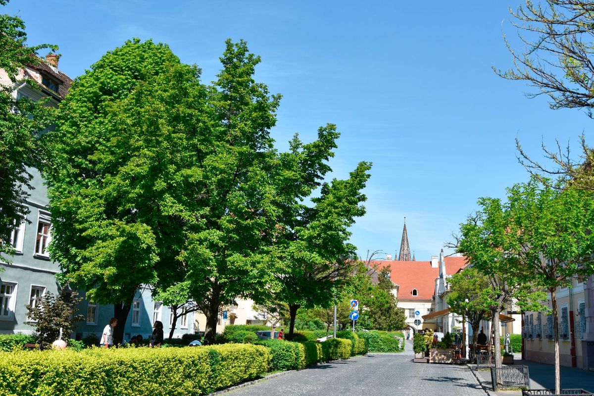 Täglicher Stadtrundgang — Foto 7