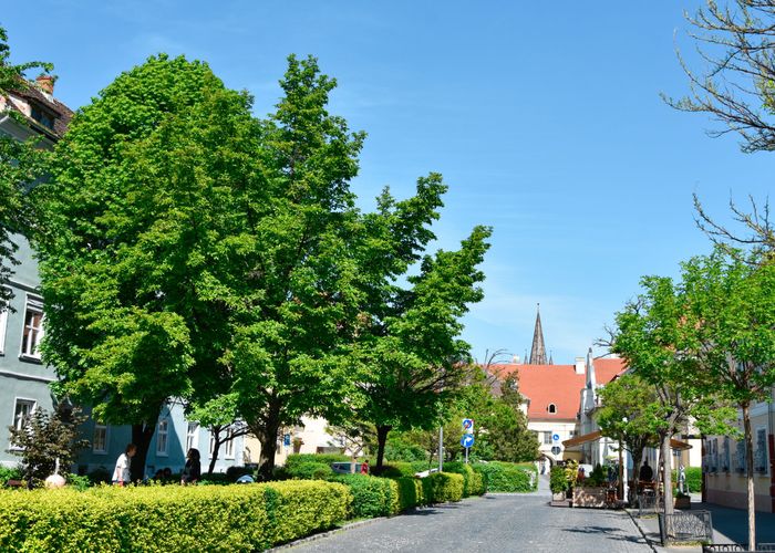 Täglicher Stadtrundgang — Foto 7