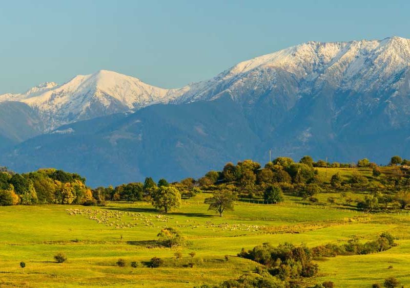Pajiști și creste la sud de Sibiu