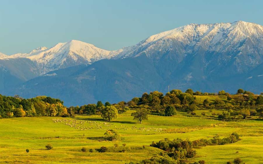 Meadows and peaks south of Sibiu